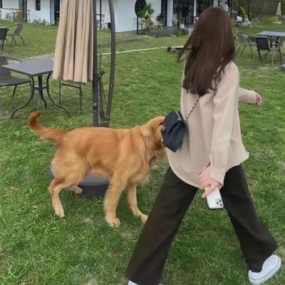 小美人鱼